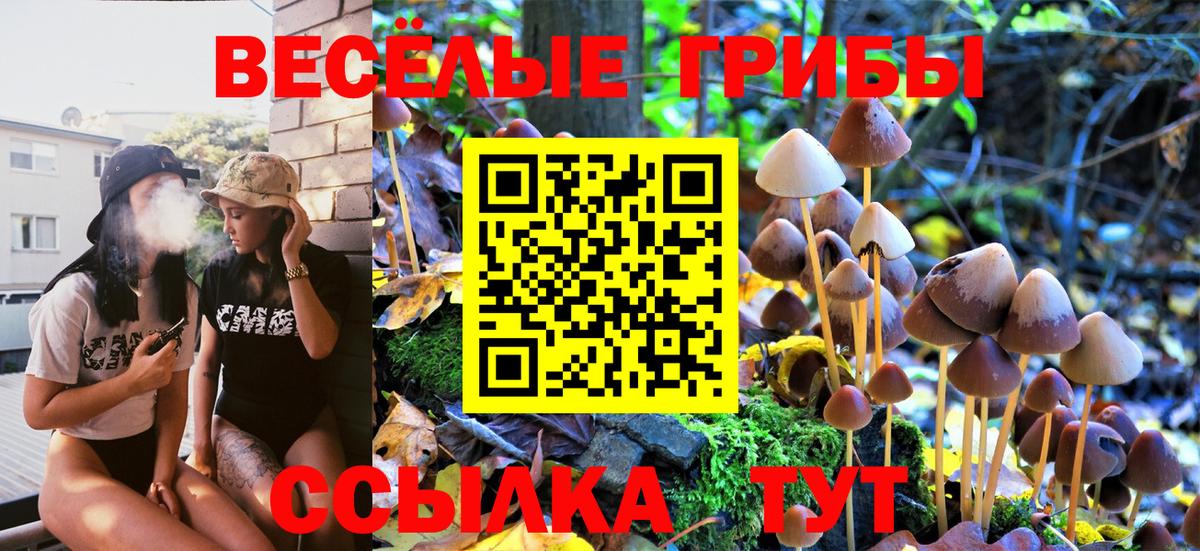 Галлюциногенные грибы Psilocybine cubensis  Вход с VPN  Псилоцибиновые грибы Cubensis  Юрга 